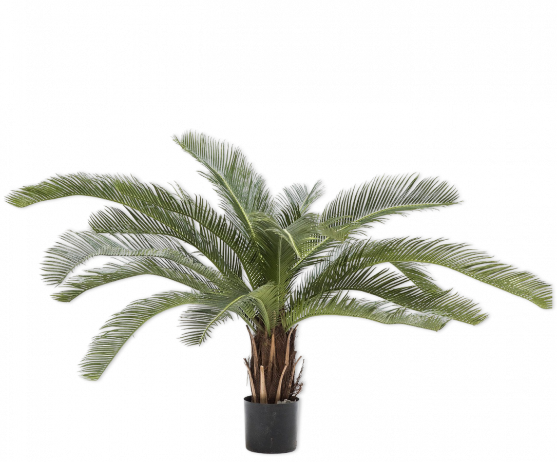 Palm groen 50 cm