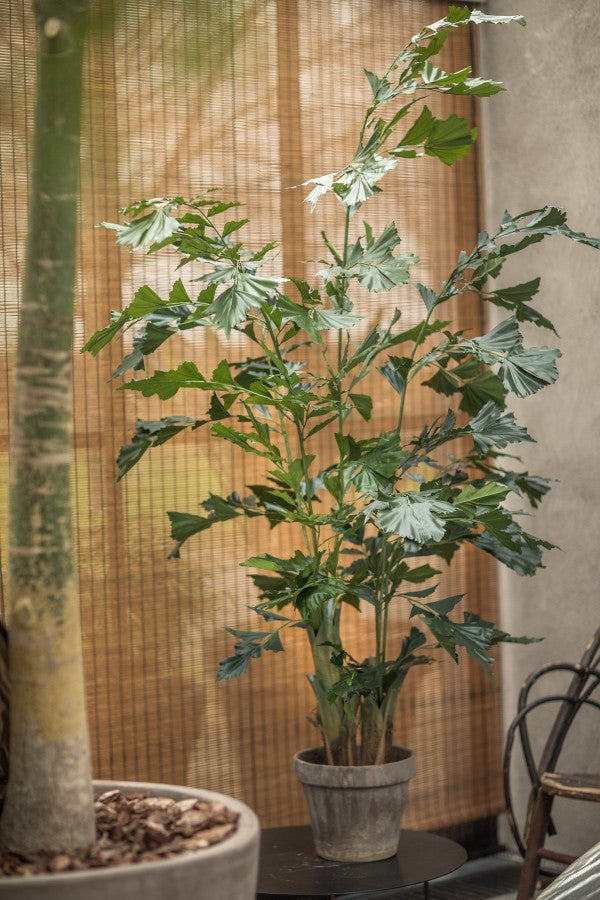 Palm groen 190 cm