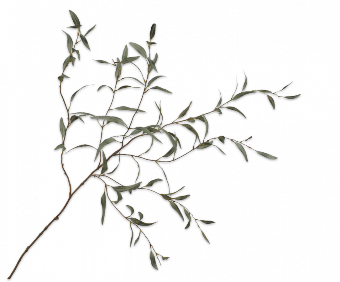 Eucalyptus tak groen 123 cm