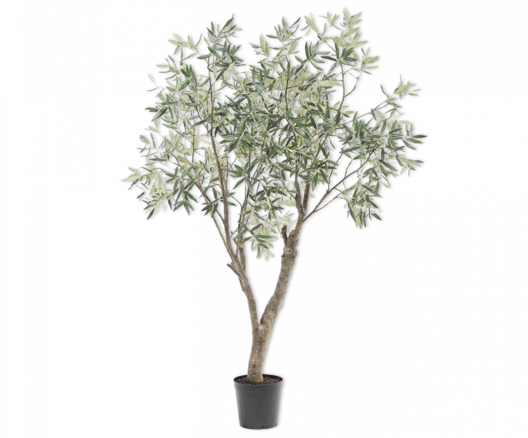 Olijfboom groen 198 cm