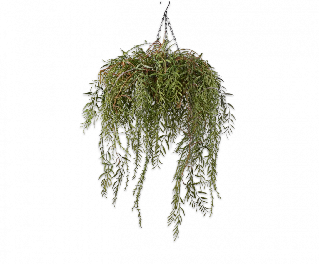 Plant hang groen 60 cm
