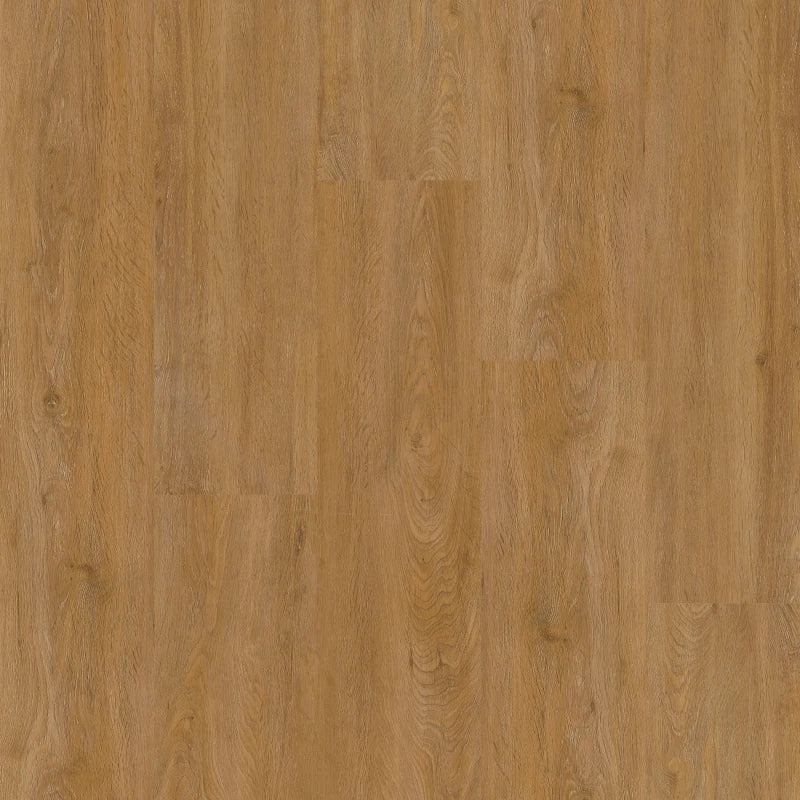 Therdex | Basic serie rechte plank