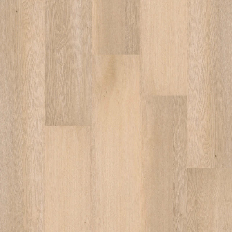 Therdex | Premium serie rechte plank