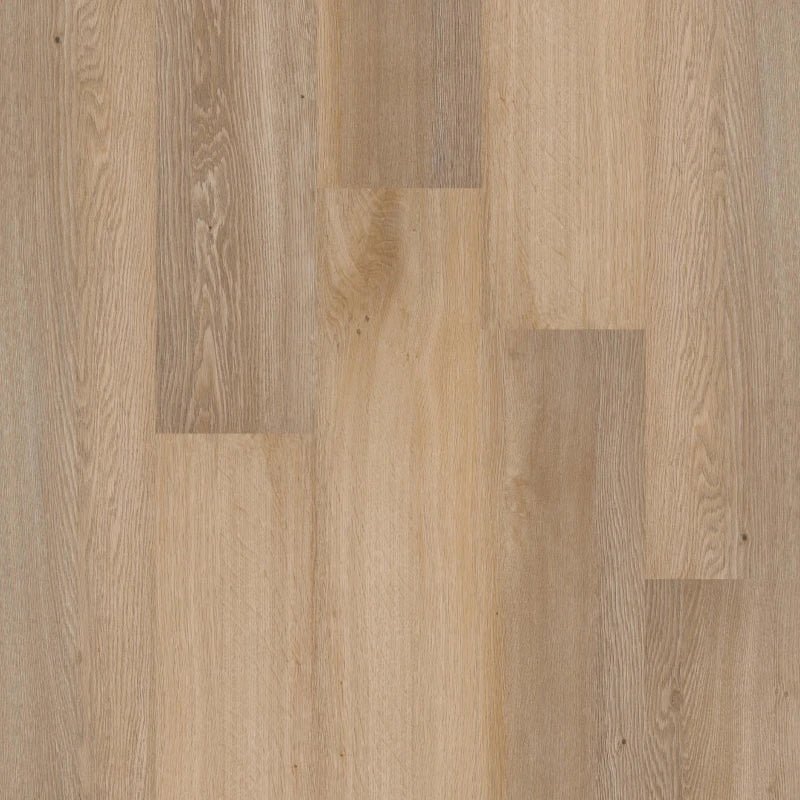 Therdex | Premium serie rechte plank