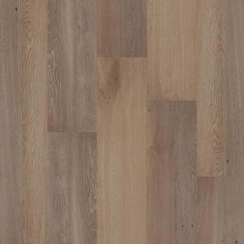 Therdex | Premium serie rechte plank