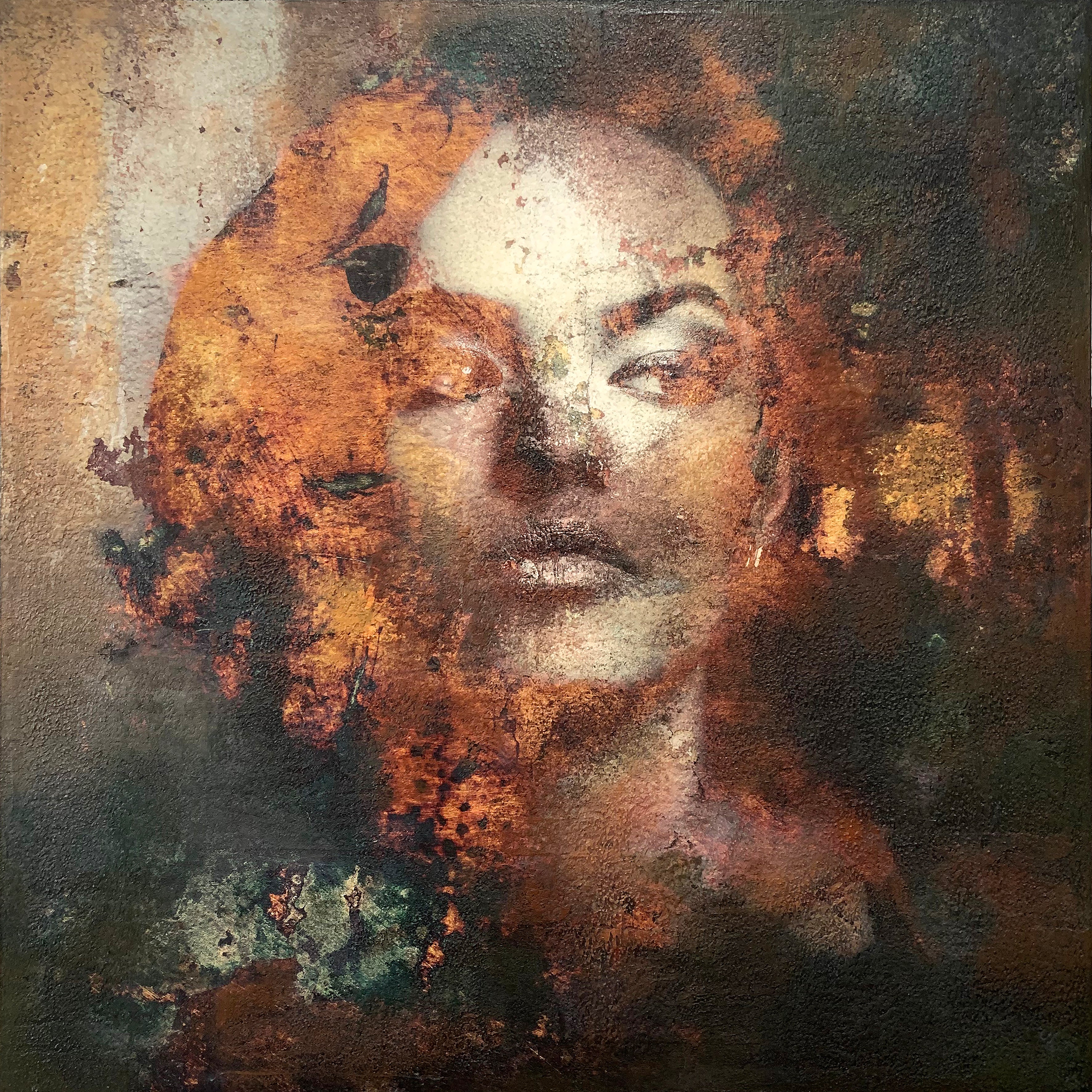 Anvy - Karin Vermeer