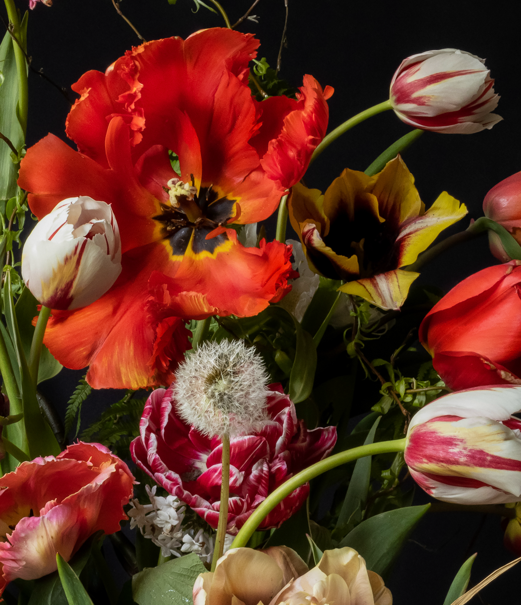 Iris Gonzalez Bliss, 2024