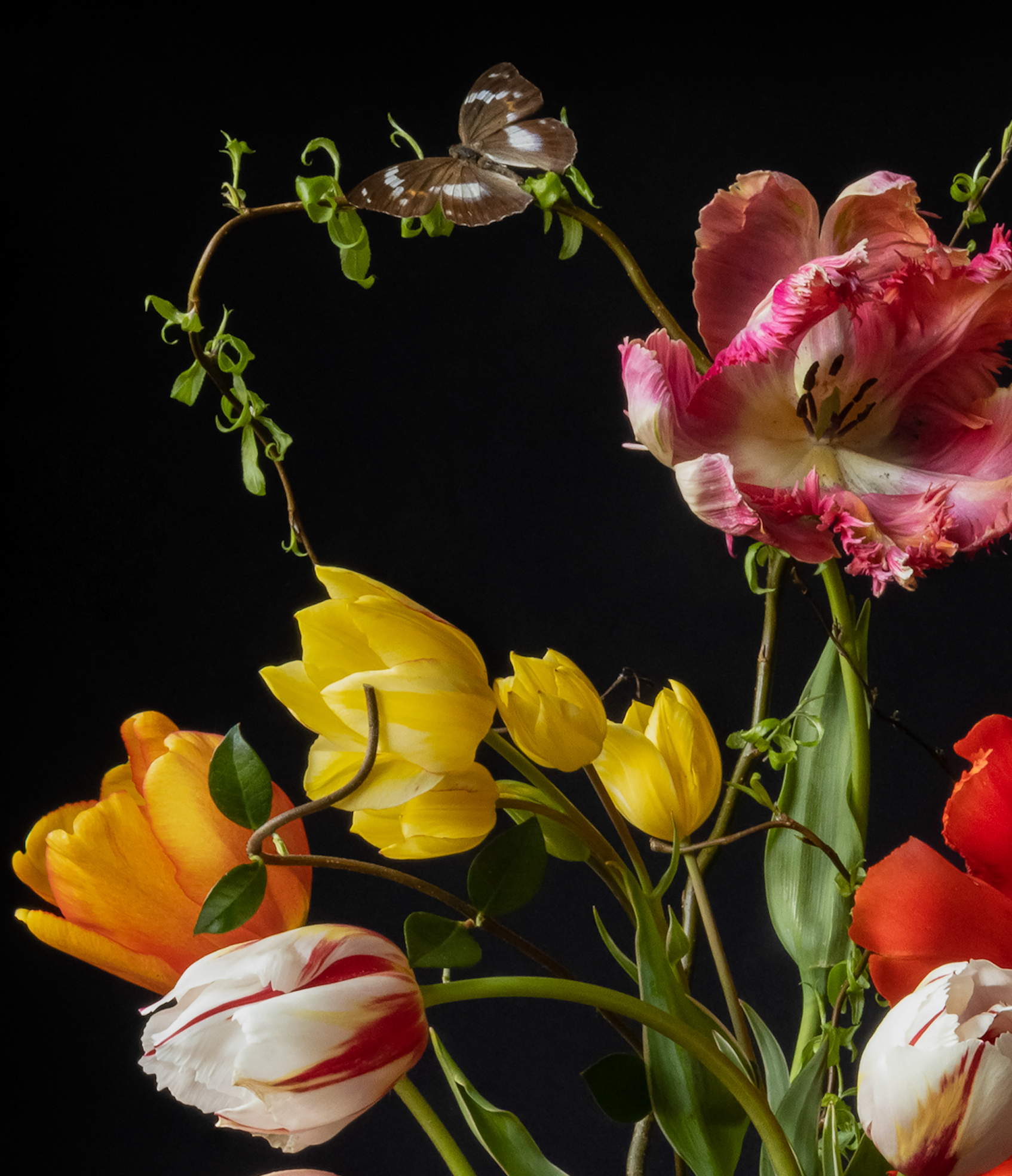 Iris Gonzalez Bliss, 2024