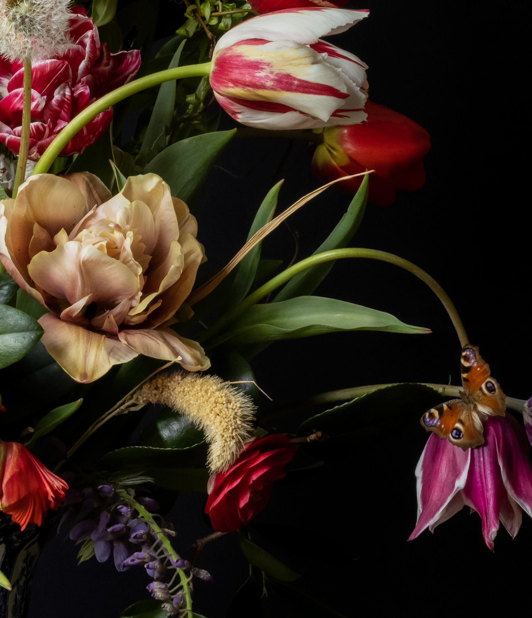 Iris Gonzalez Bliss, 2024