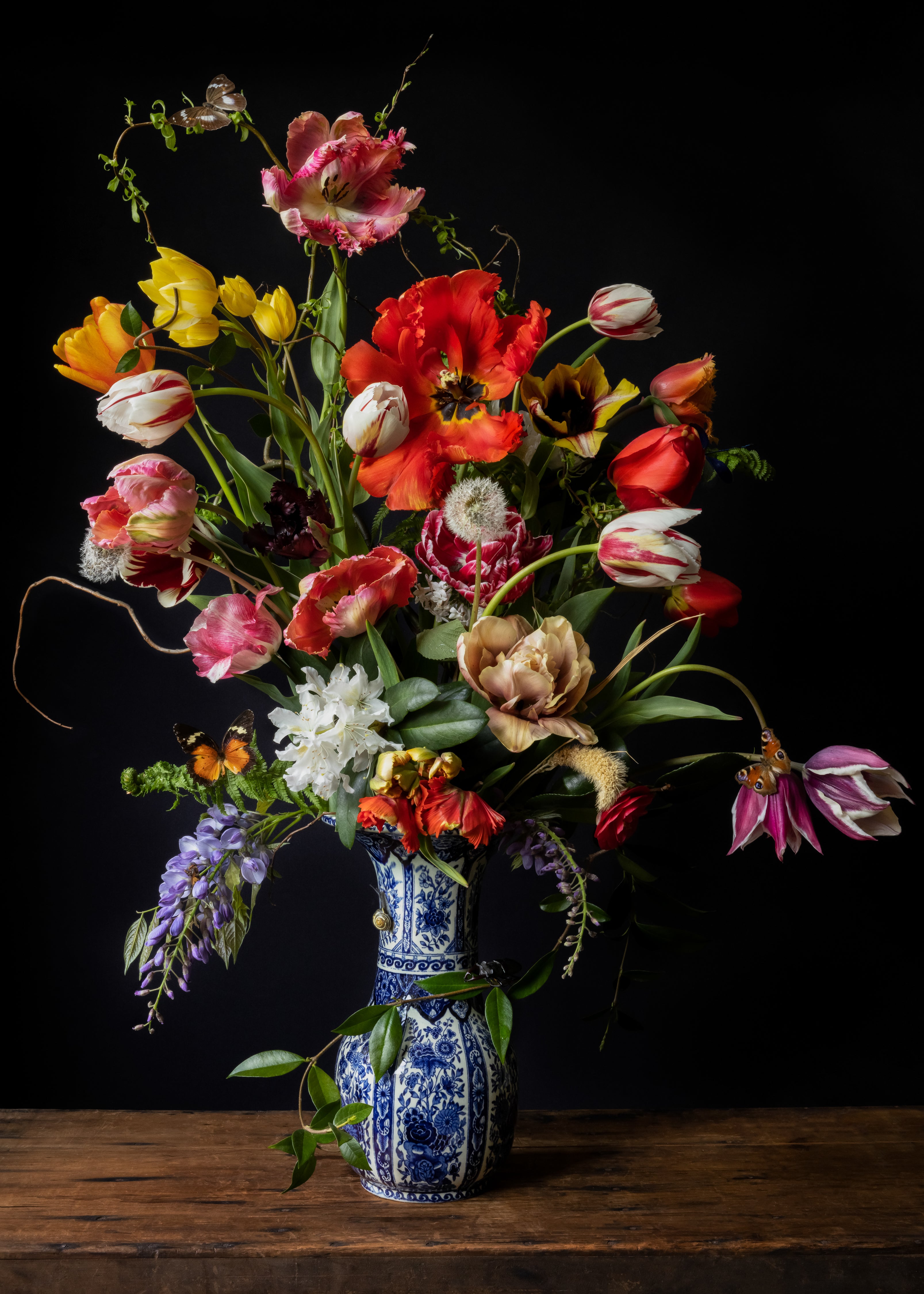 Iris Gonzalez Bliss, 2024