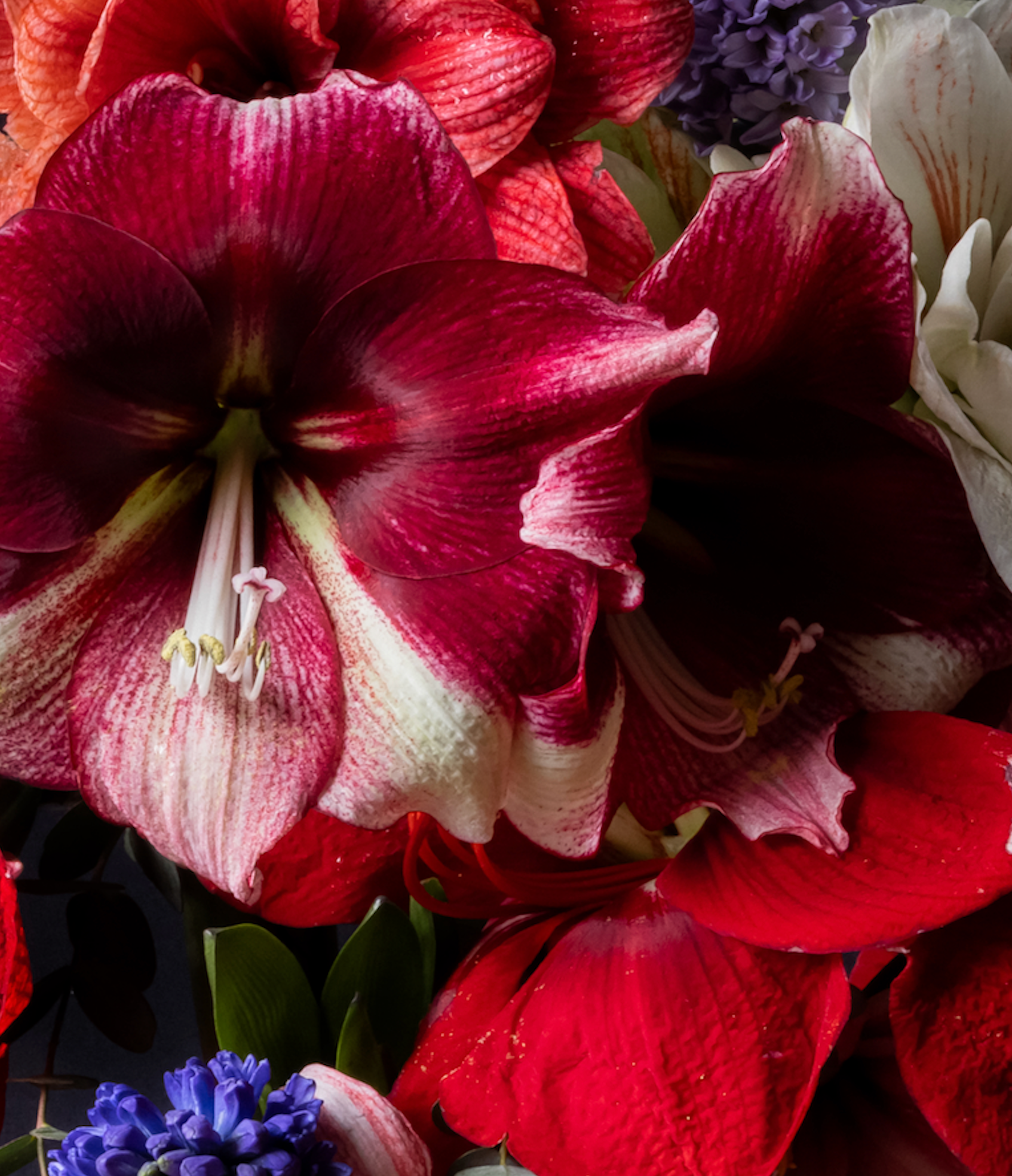 Iris Gonzalez Heartful, 2024