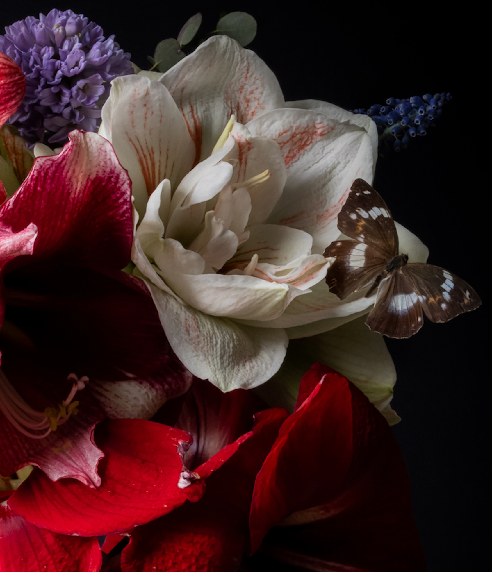 Iris Gonzalez Heartful, 2024