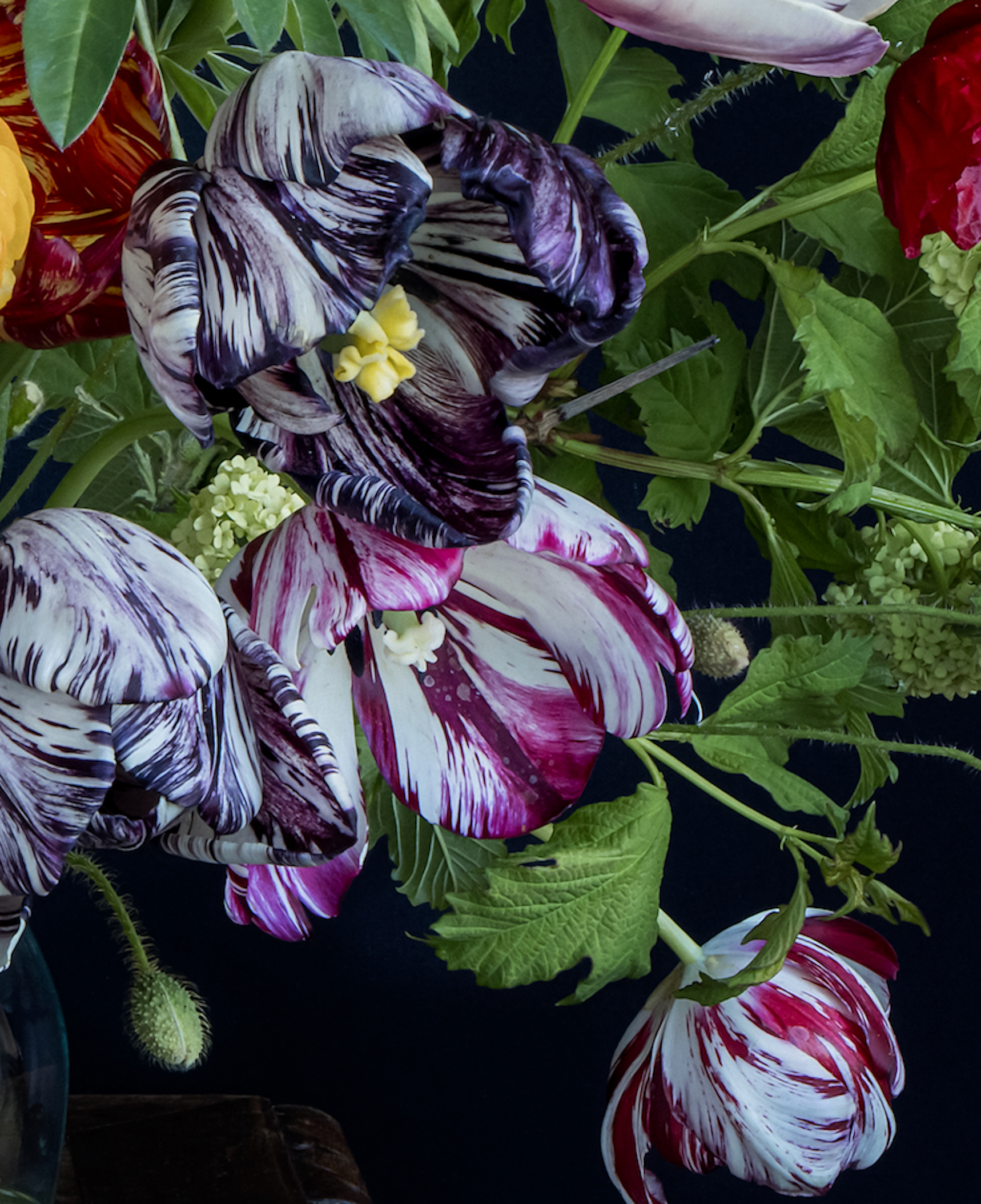 Iris Gonzalez Joy, 2024