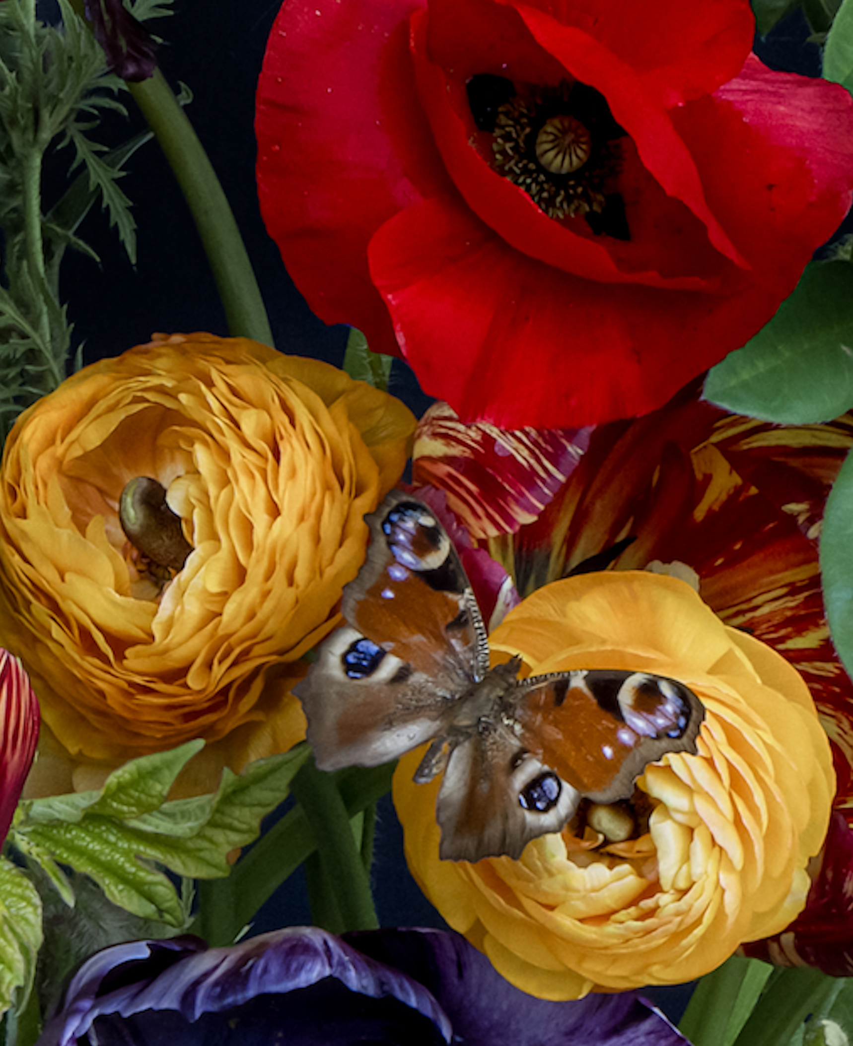 Iris Gonzalez Joy, 2024