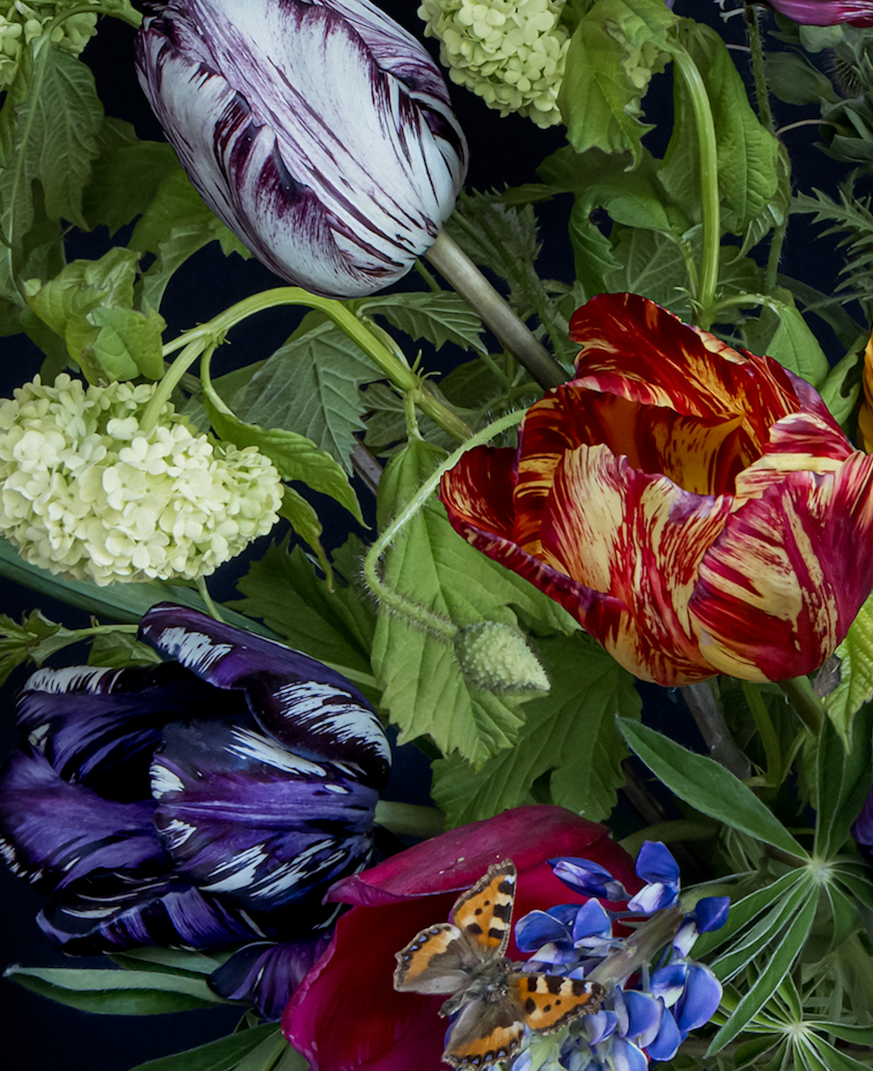 Iris Gonzalez Joy, 2024