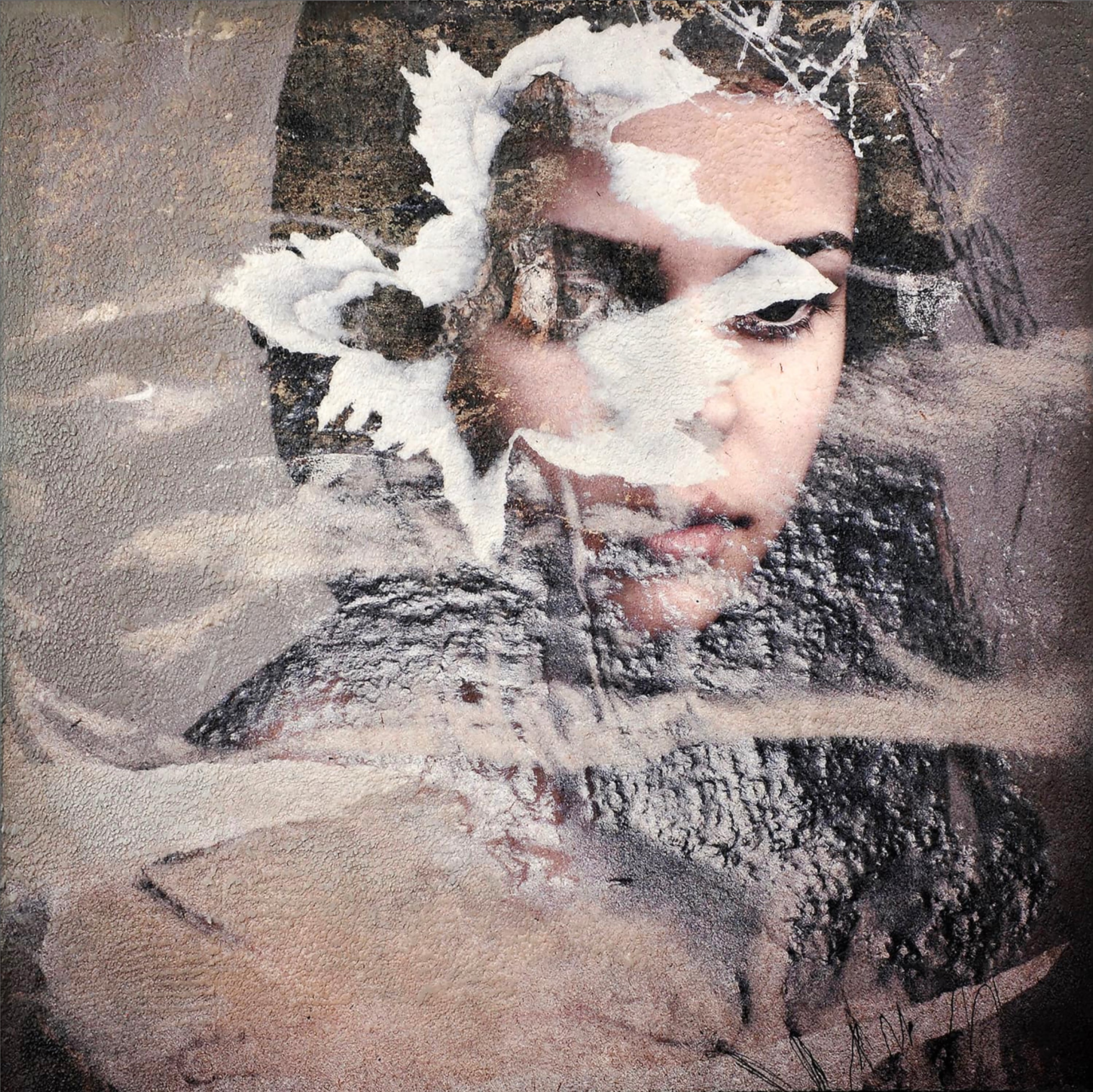 Spalerite, 2024 - Karin Vermeer