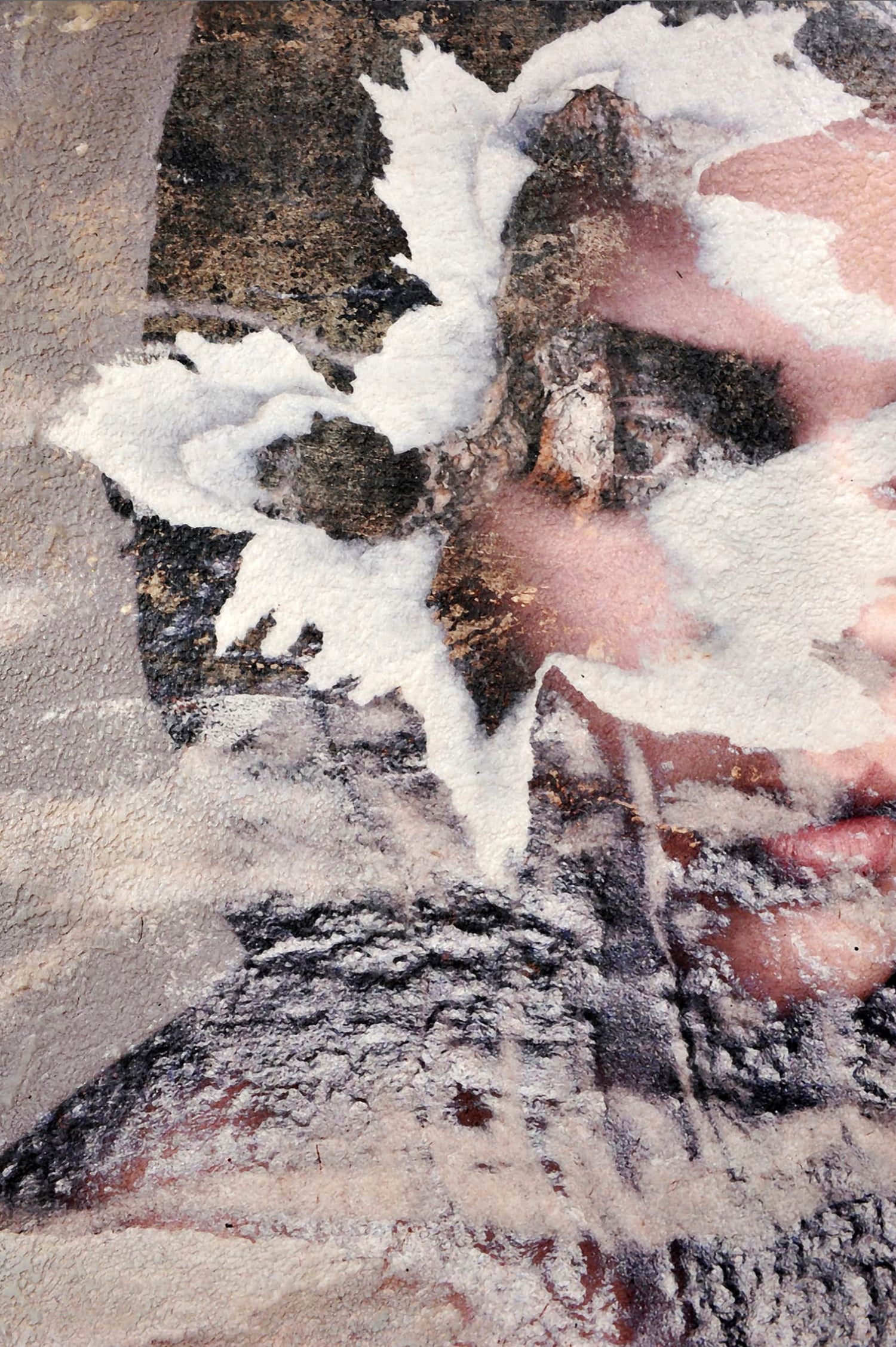 Spalerite, 2024 - Karin Vermeer