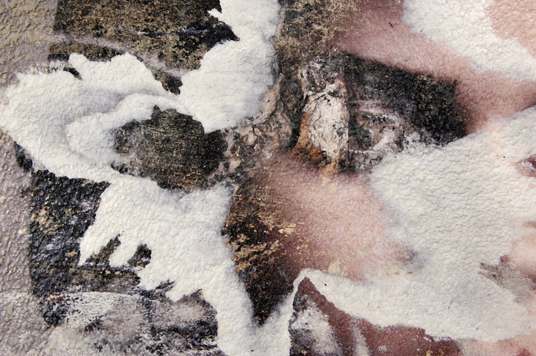 Spalerite, 2024 - Karin Vermeer