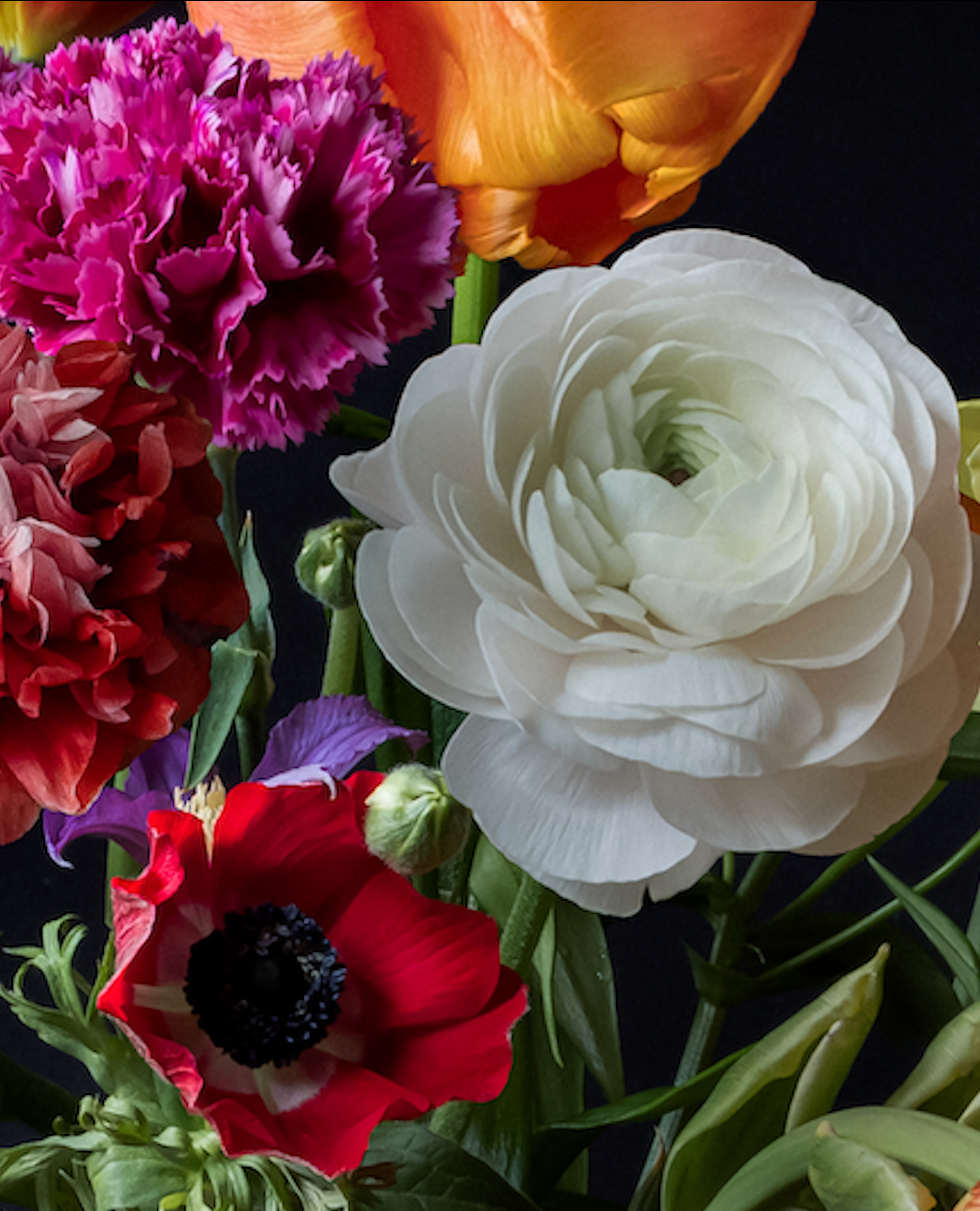 Iris Gonzalez True love, 2024