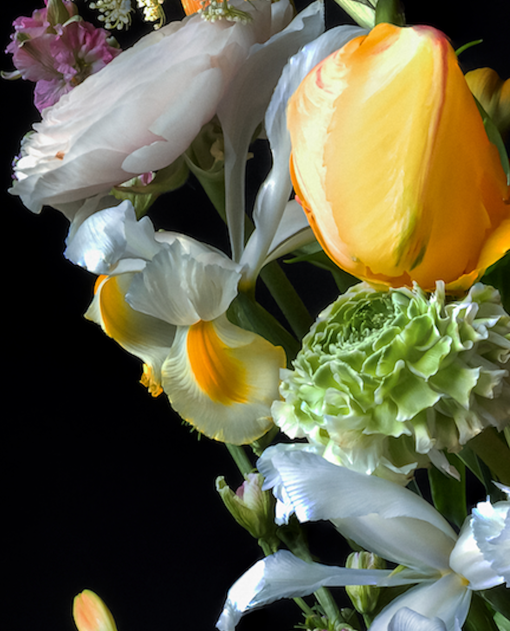 Iris Gonzalez True love, 2024