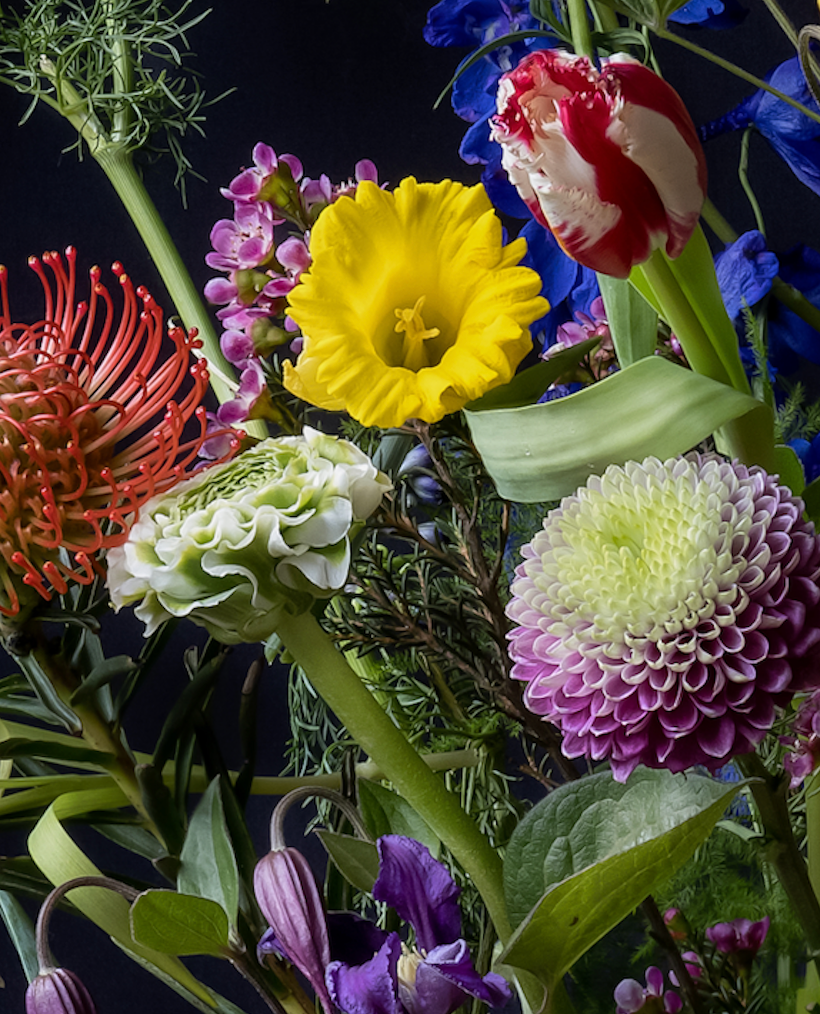 Iris Gonzalez Within Blue, 2024