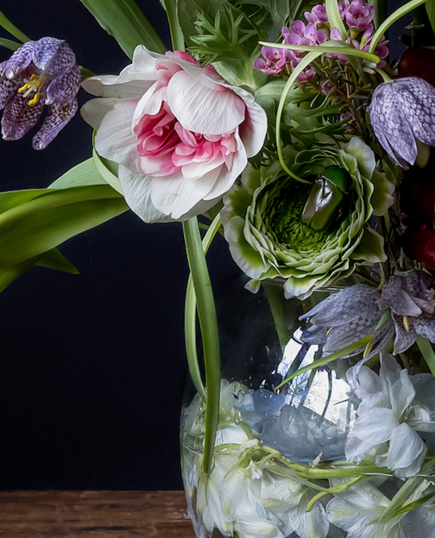 Iris Gonzalez Within Blue, 2024