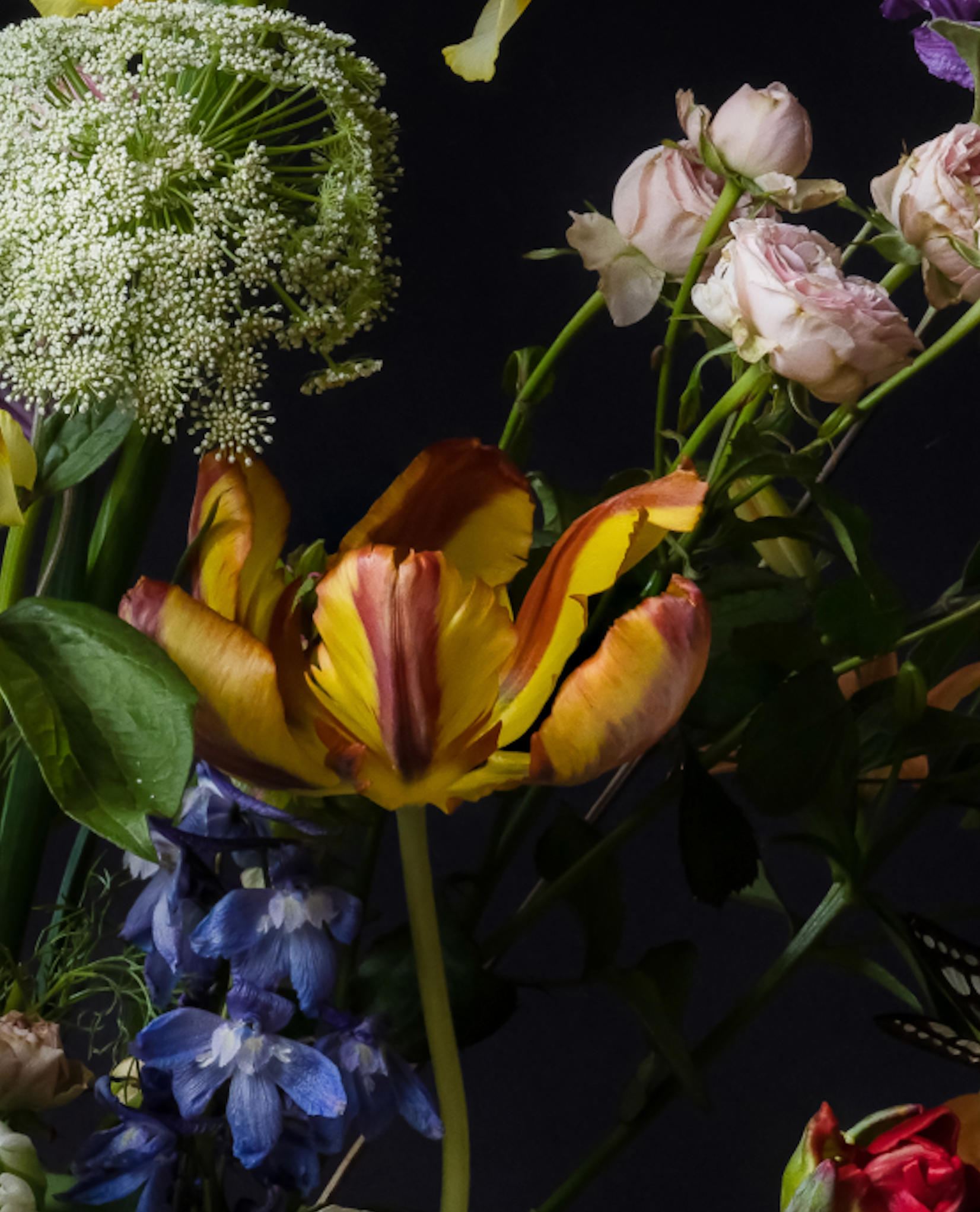 Iris Gonzalez Within Red, 2024