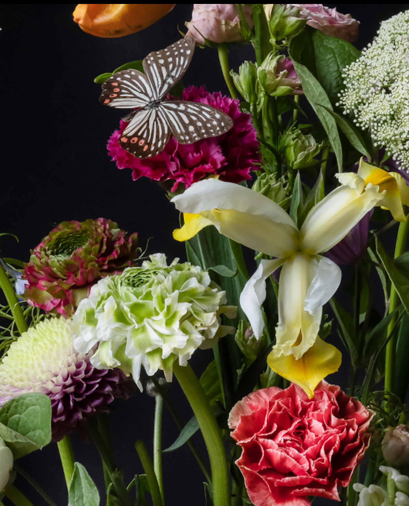 Iris Gonzalez Within Red, 2024