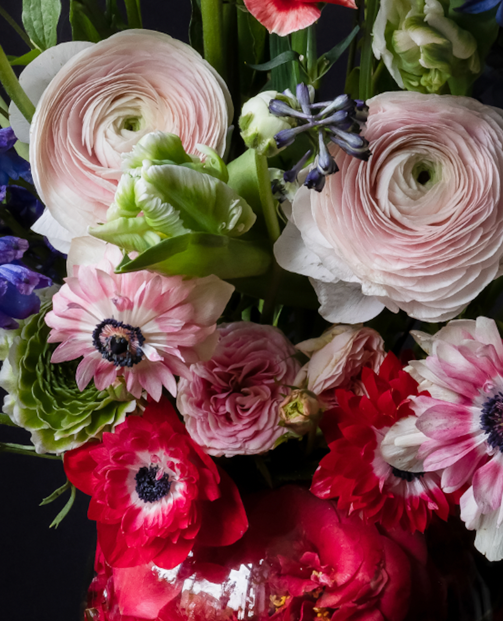 Iris Gonzalez Within Red, 2024