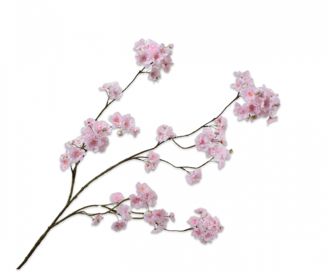 Bloesemtak roze LT 127cm