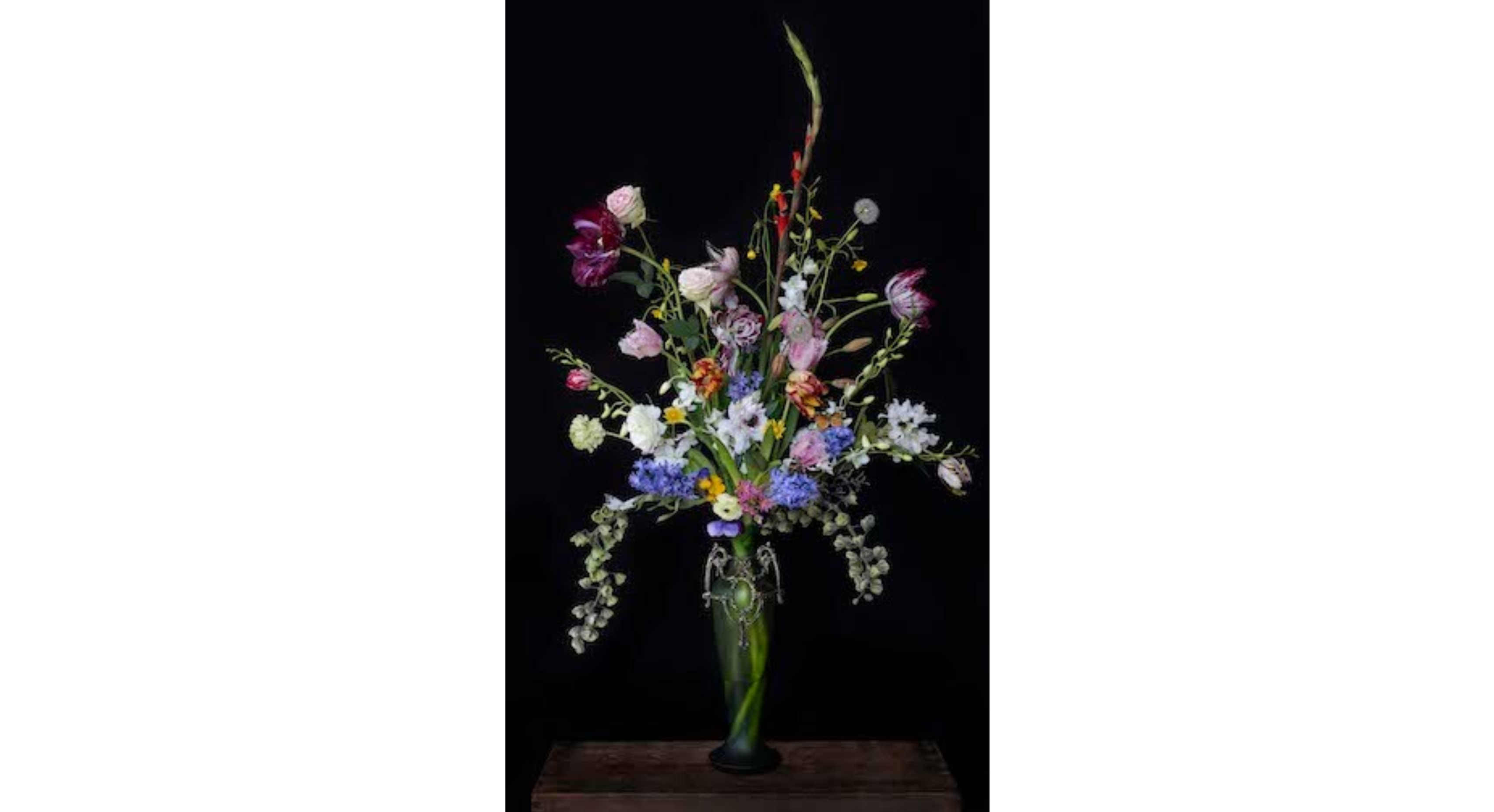 Iris Gonzalez - Armor in Bloom, 2024